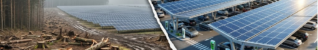Solaire en forêt vs sur parking : Le calcul économique et écologique qui change tout !